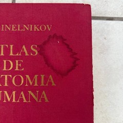 Atlas de Anatomía Humana III Spanish Edition Hardcover R D Sinelnikov 1976