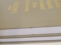 Funk and Wagnalls Standard Desk Dictionary Volumes 1 and 2 Set Hardcover 1984