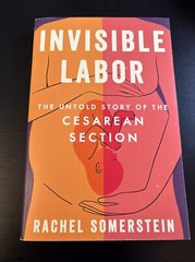Invisible Labor: The Untold Story… by Somerstein Rachel – Uncorrected Proof PB