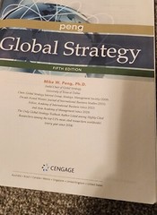 Global Strategy – Paperback By Peng, Mike W – GOOD Condition No Marking..