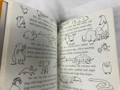 Ark in The Park by Wendy Orr 1st American Edition F