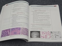 Fundamentals of Pathology by Hussain A sattar pathoma 2016 paperback