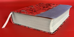Beautiful Word Coloring Bible for Teen Girls~NIV~Leathersoft~Cranberry/Blue~New