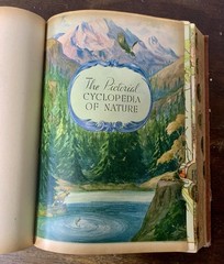 1941 Webster Comprehensive Encyclopedic Dictionary -Library Essential Knowledge