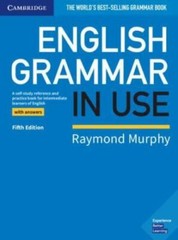 English Grammar in Use Book with Answers: A Self-Study Reference and Practice B