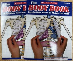 BRAND NEW- 2 Books The Body Book Grades 3-6 Human Anatomy Models Scholastic