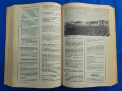 The Jewish Almanac by Richard Siegel