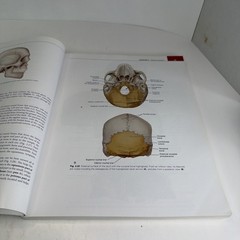 Illustrated Anatomy of the Head and Neck by Margaret J. Fehrenbach and Susan W.