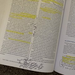 Constitutional Law for a Changing America: Institutional Powers and Constraints