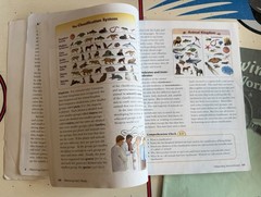 Abeka 6th Grade Science Kit – Observing God’s World (7 Books Total)