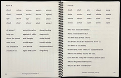 SPIRE (Reading Excellence) LEVEL 6 SET (4 books – TEACHER, STUDENT & WORD CARDS)