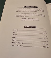Remedia Publications Phonics For Older Students Book REM800 – Reading – Good !