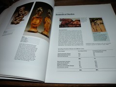 Herbs Health Healers :AFRICA AS ETHNOPHARMACOLOGICAL TREASURY Rare Book 1999