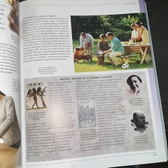 Illustrated Encyclopedia of Healing Remedies, Norman Shealy, MD PhD (Editor), Ve