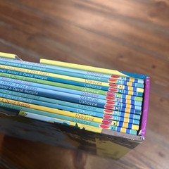 Usborne Phonics Collection 12 Book Box Set Readers Beginner Set