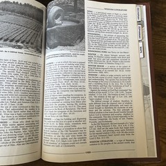 Thomas Nelson Illustrated Dictionary of the Bible Hardcover Study Resource