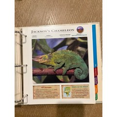 Wildlife Explorer Binder Set Groups 1-8 Over 180 Cards Animal Education Vintage