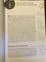 Social Inequality in a Global Age Paperback Scott R. Sernau, 3 pages marked up