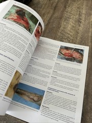 Complications In Small Animal 2016 Book 949 Pages
