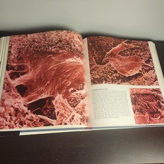 The Body Victorious THE ILLUSTRATED STORY OF OUR IMMUNE By Lennart Nilsson, Used