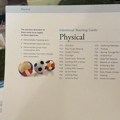 Creative Curriculum Preschool Intentional Teaching 33 Cards Physical Bilingual