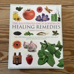 Illustrated Encyclopedia Of Healing Remedies by C Norman Shealy