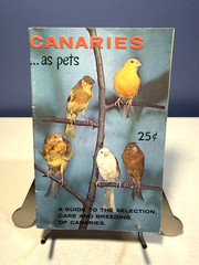 Birds Birds Birds: Boreal Birds of North America/Birds in Bloom/Canaries..LOTOF5