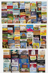 Fountas & Pinnell Red LLI Student Readers Levels L-Q