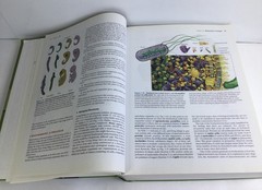Biochemistry, 4th Edition by Voet, Donald
