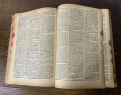 1941 Webster Comprehensive Encyclopedic Dictionary -Library Essential Knowledge