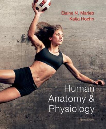 Human Anatomy & Physiology (9th Edition), Marieb, Elaine N.,Hoehn, Katja N., Ver
