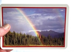 300 Nouns~vocabulary/speech Sounds/therapy/Color Photos. MADE IN THE USA!