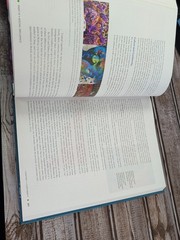 Social Psychology Textbook Saul Kassin Hazel Rose Markus Steven Fein 2024