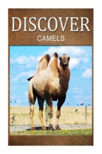 Camels – Discover: Early Reader’s Wildlife Photography Book