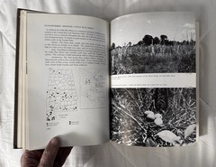 1962 Alabama Birds – Imhof, Thomas A, University Alabama Press, Book