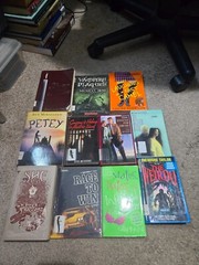 Mixed Lot of 35 Young Adult Elem-Middle School Age Chapter Books – Homeschool