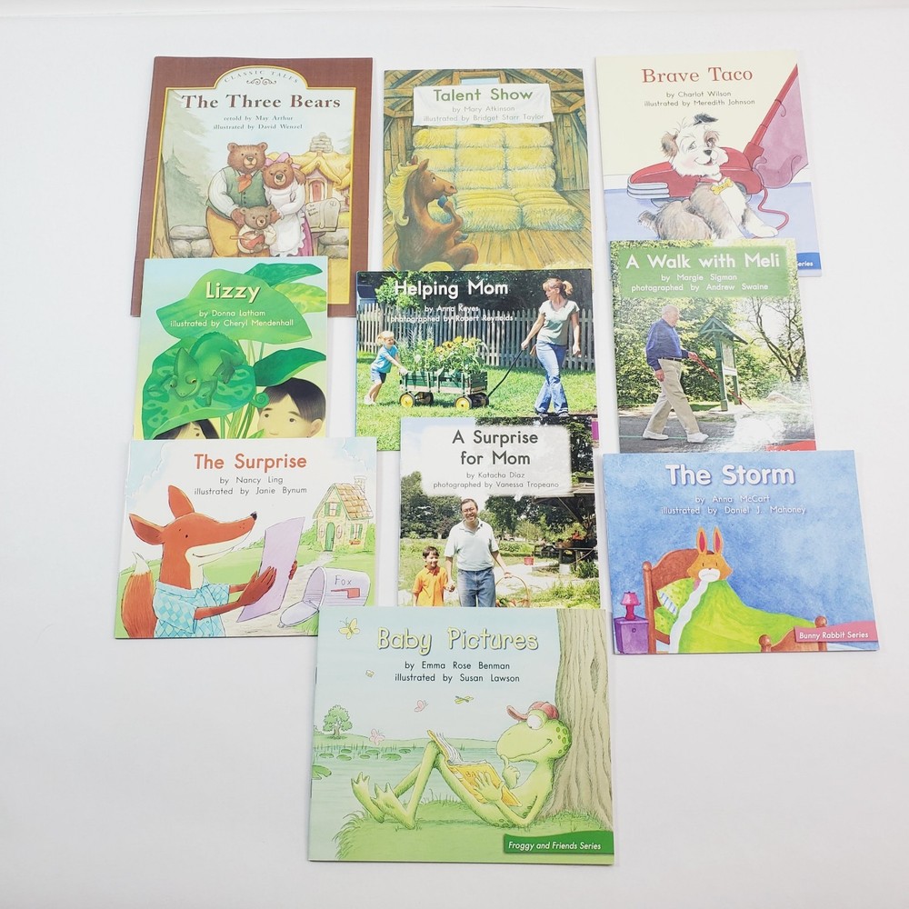 Lot of 10 Fountas & Pinnell LLI Green System Level E Leveled Readers Grade 1