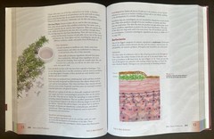 Milady Esthetics 11th Edition Textbook + Workbook Set Cosmetology School