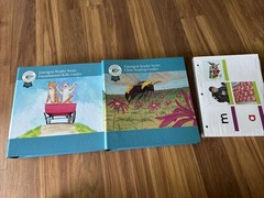 Flyleaf Publ Emergent Reader Series Foundational Skills Teachers Close Reading