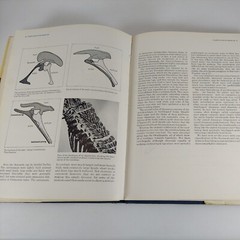 A New Look at the Dinosaurs by Alan Charig 1986 Illustrated HCDJ Ex-Library