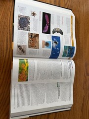 Campbell Biology 11th Edition, Urry Cain Wasserman Minorsky Reece 9780134093413