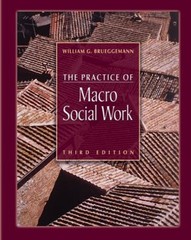 The Practice of Macro Social Work Hardcover William G. Brueggeman