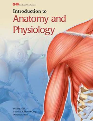 Introduction to Anatomy and Physiology – Hardcover By Hall, Susan J – GOOD