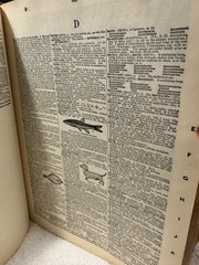 1945 Websters New Internation Dictionary English Language 2nd Edition Unabridged