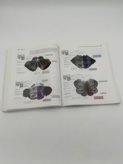 Neuroanatomy Through Clinical Cases by Hal Blumenfeld (2010, Trade Paperback)