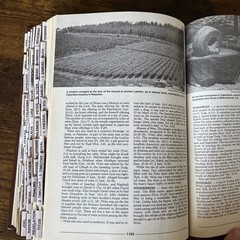 Thomas Nelson Illustrated Dictionary of the Bible Hardcover Study Resource