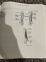 Human Structure by William L. Hylander, Matt Cartmill and James Shafland (1987,