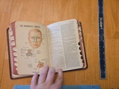 Dorland’s Pocket Medical Dictionary by Newman W. Dorland (1982, Hardcover)