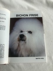 BICHON FRISE, 192 PAGES, BY MARTIN WELL, HARD COVER