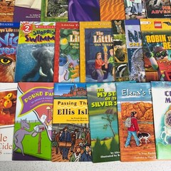 Lot of 30 Assorted Grades 1-3 Learning To Read Homeschooling Education Books
